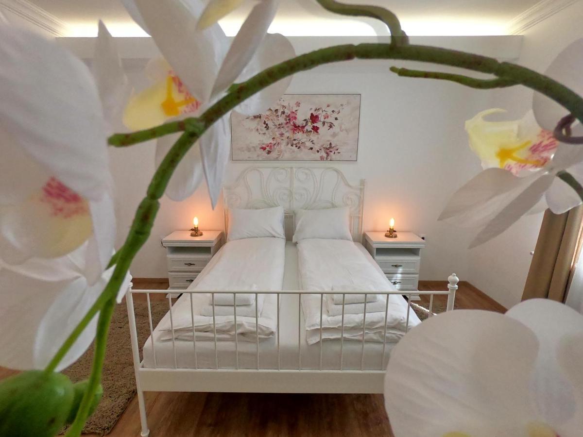 Spring Rustik Apartment Cacak Ngoại thất bức ảnh